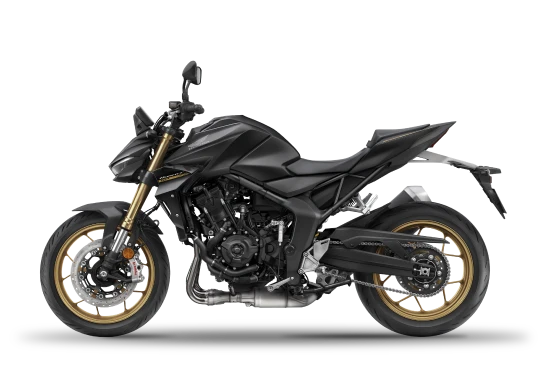 Hornet 1000 SP - Preto